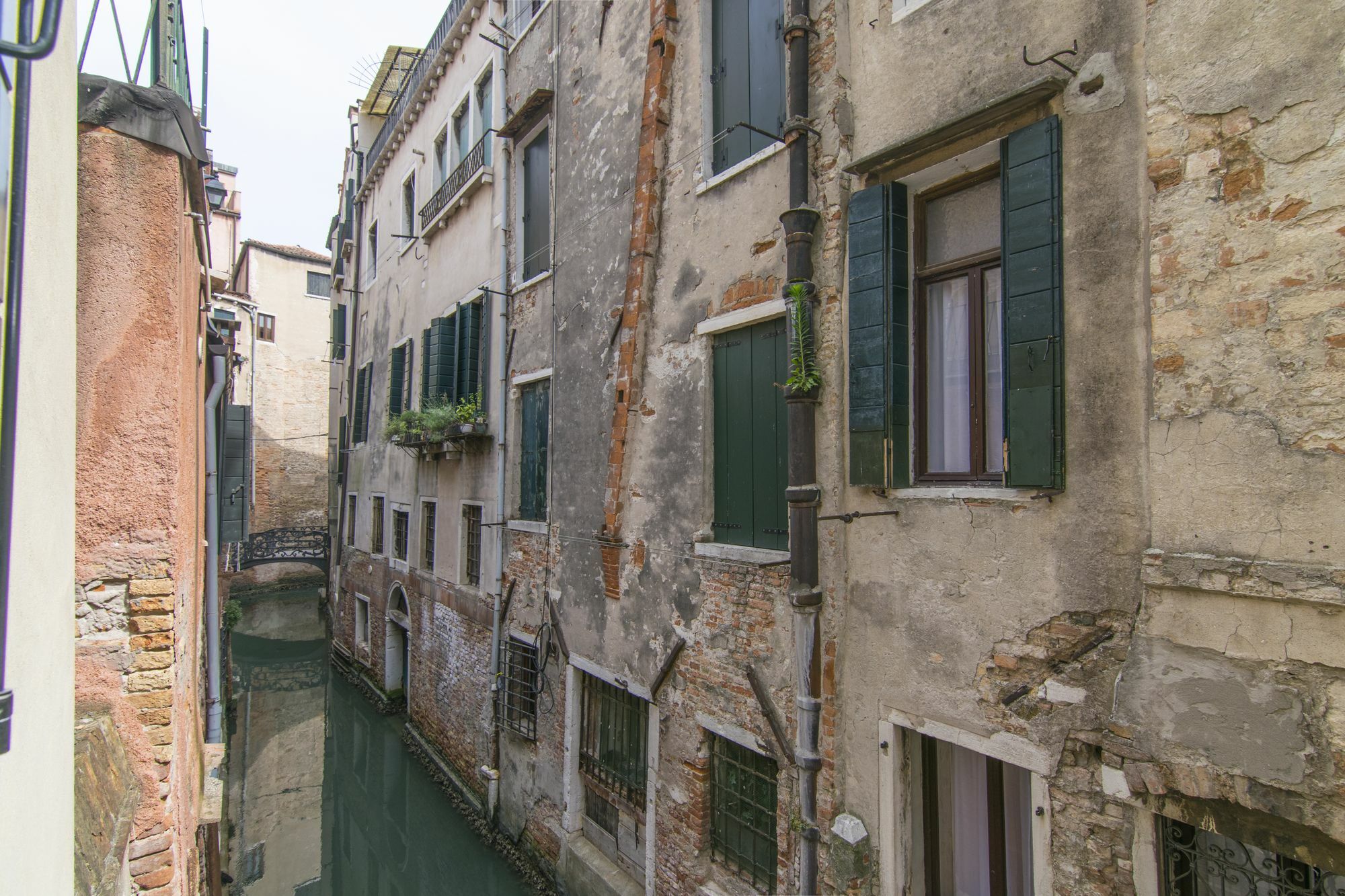 Love Gentile Venezia Eksteriør bilde